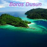 дусунский язык